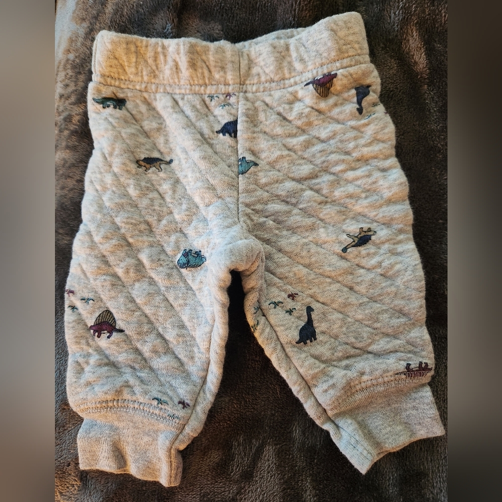 Dinosaur sweat pants